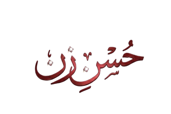 Husn E Zann